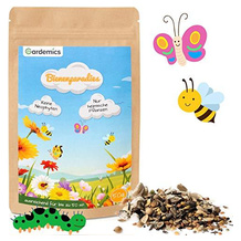 Bienenweiden-Saatgut