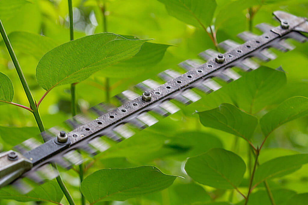 Benzin-Heckenschere beim Trimmen von Bueschen