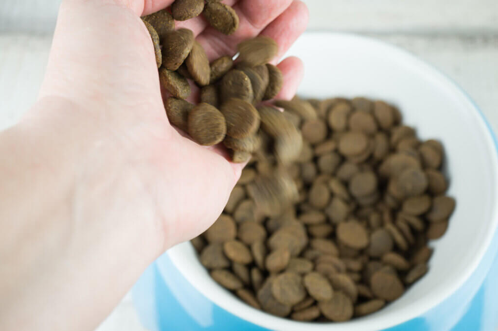 Trockenfutter wird in Napf gefĂŒllt