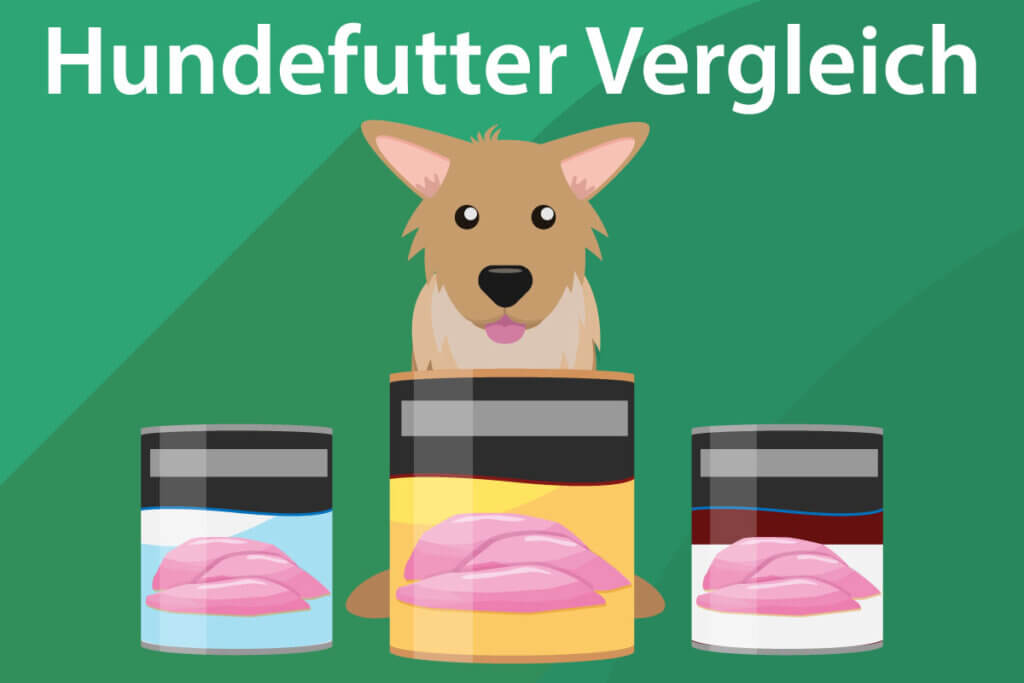 Die besten Hundefutter im Vergleich