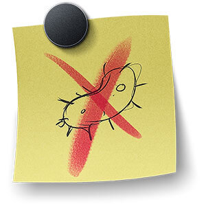 Antibakterielle Beschichtung