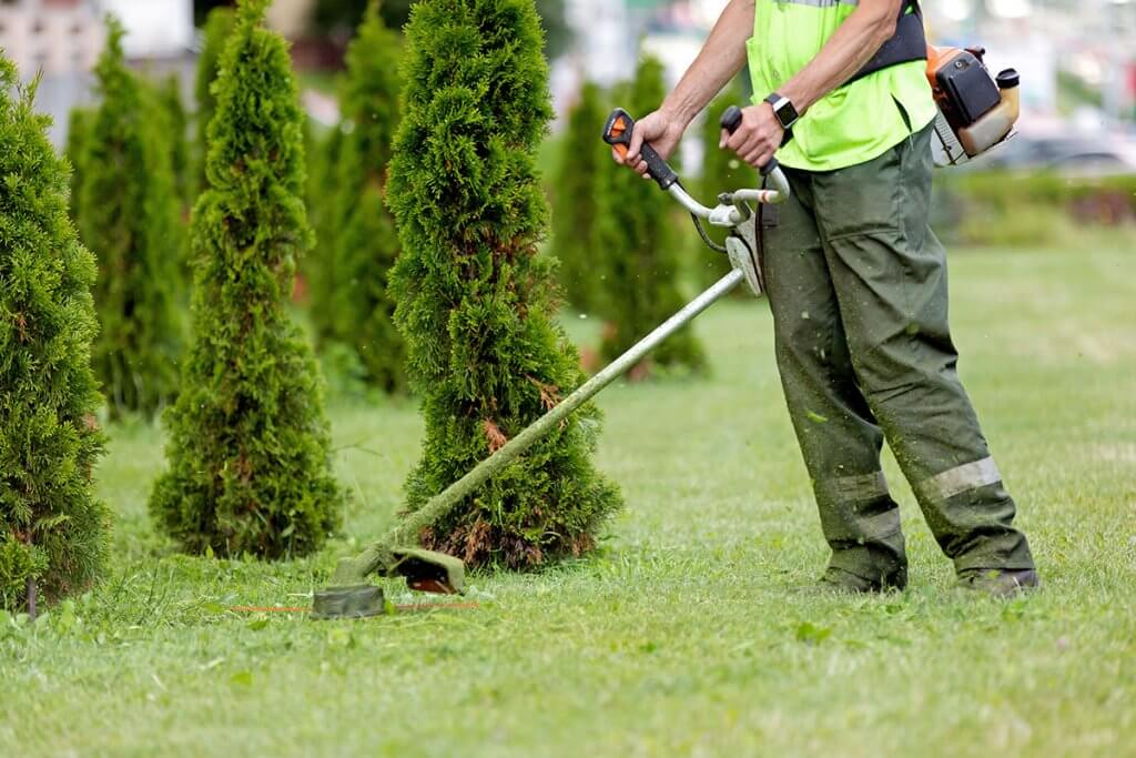 rasentrimmer motorsense rasenmäher