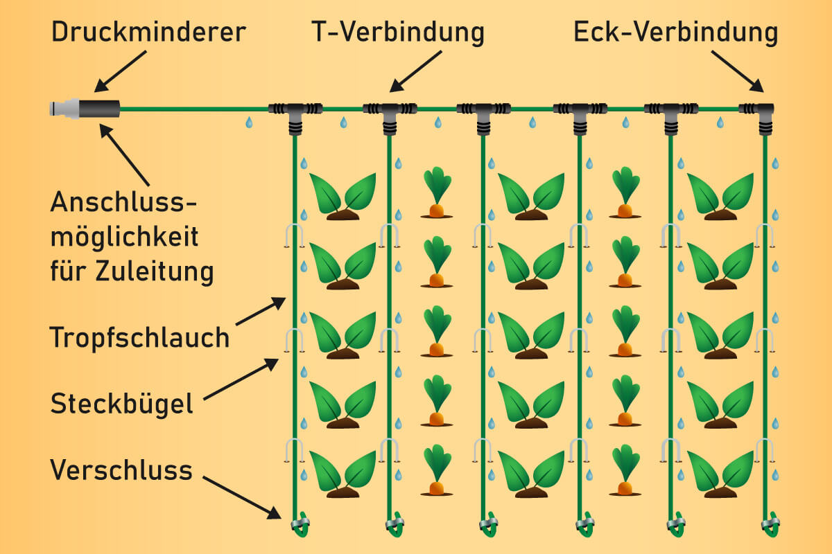 Grafik Tropfschlauchsystem Aufbau